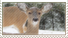 deer stamp