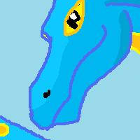 A blue water dragon with flippers and yellow highlights