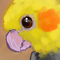 A drawing of a cockatiel bird