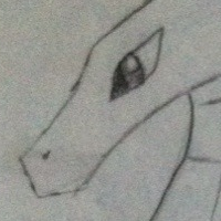 A dragon