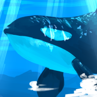 A killer whale