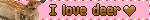 i love deer