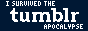 i survived the tumblr apocalypse button