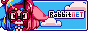 rabbit net