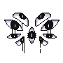 a cluster of multiple dark eyes
