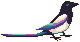 a magpie bird