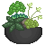 pot with plants