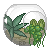 terrarium bowl with plants